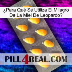 ¿Para Qué Se Utiliza El Milagro De La Miel De Leopardo cialis1